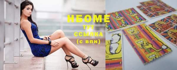 шишки Абаза