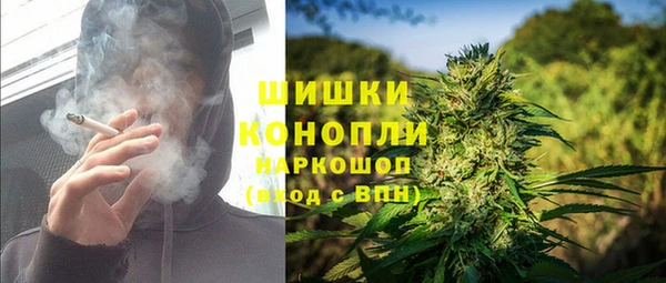 шишки Абаза