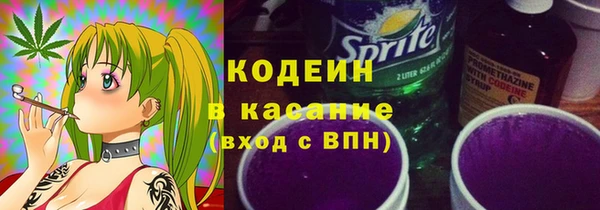 шишки Абаза