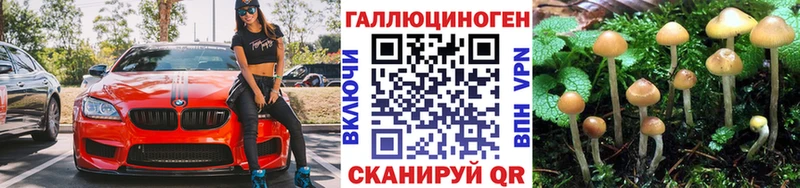 Псилоцибиновые грибы MAGIC MUSHROOMS  Катав-Ивановск 